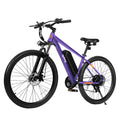 Qlife Racer Electric Delivery Mountain E-bike