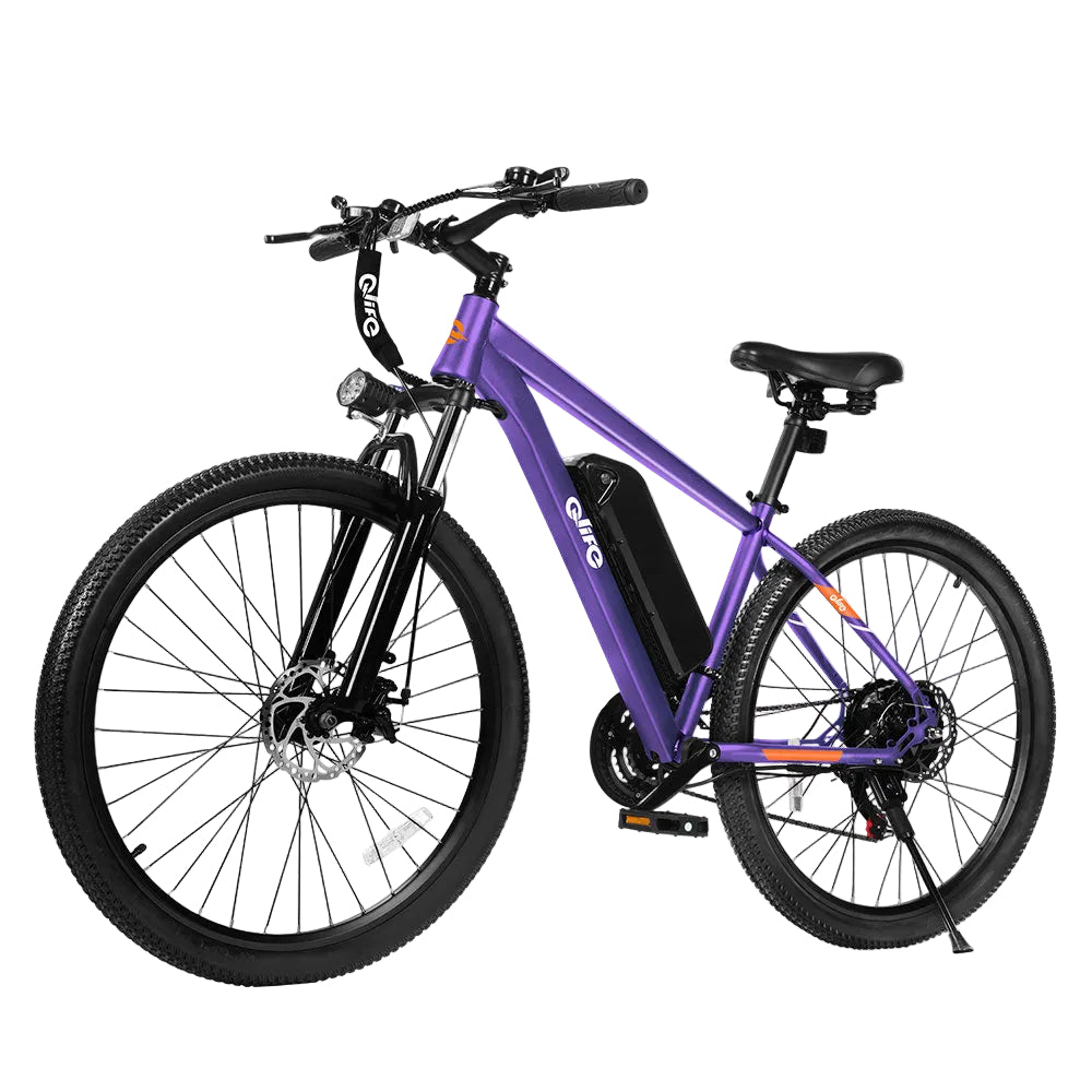 Qlife Racer Electric Delivery Mountain E-bike