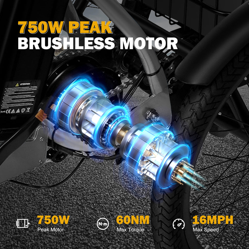 Qlife Triker Folding 3 Wheel Pedal-Assist Electric Cargo Tricycle Bike