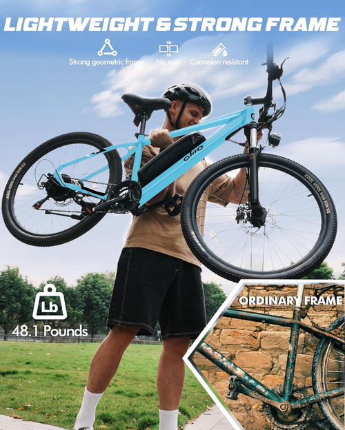 Qlife Racer Electric Delivery Mountain E-bike