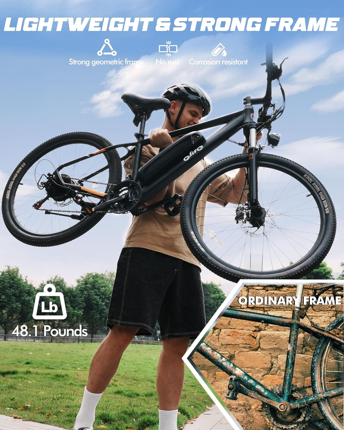 Qlife Racer Electric Delivery Mountain E-bike