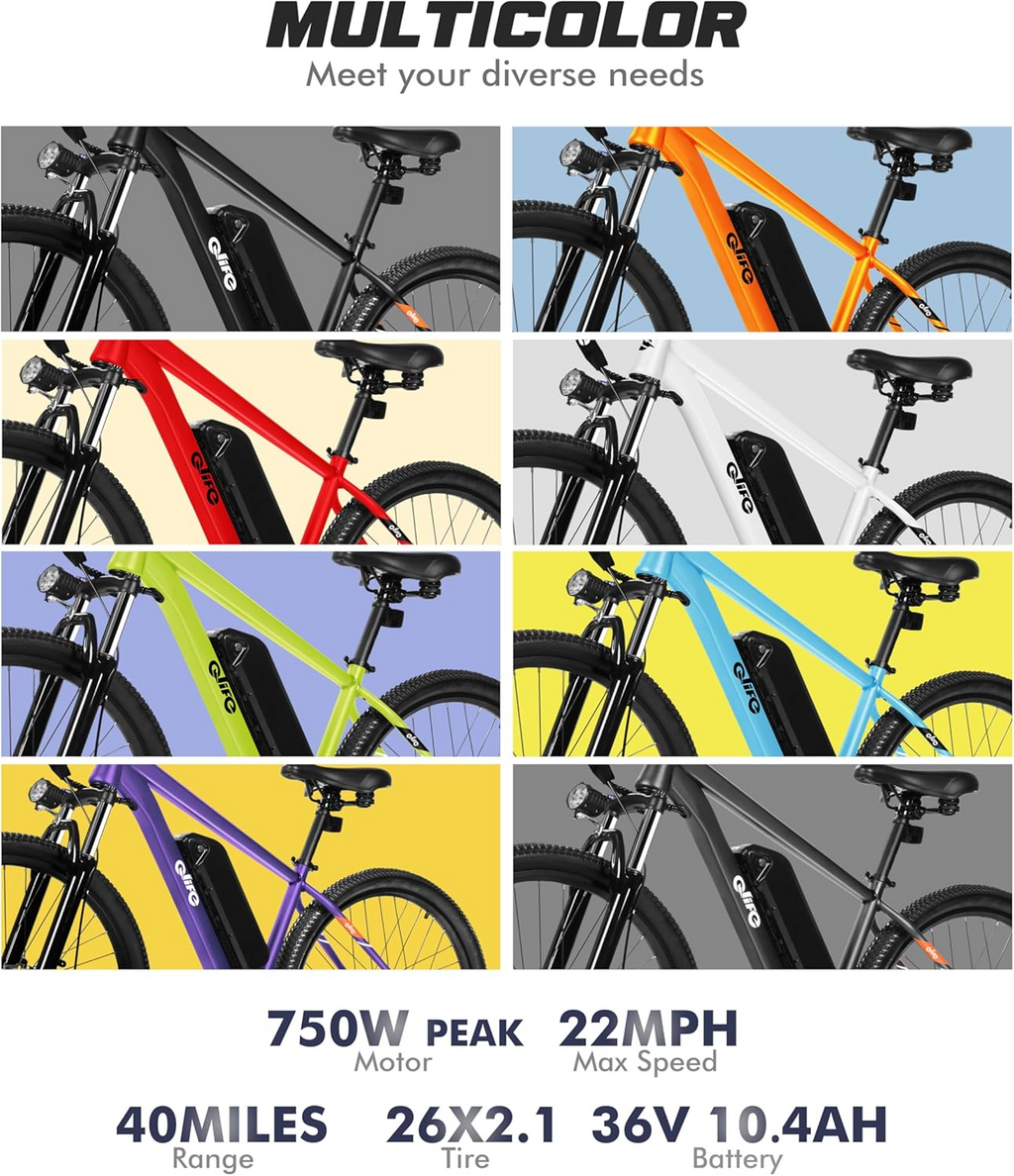 Qlife Racer Electric Delivery Mountain E-bike