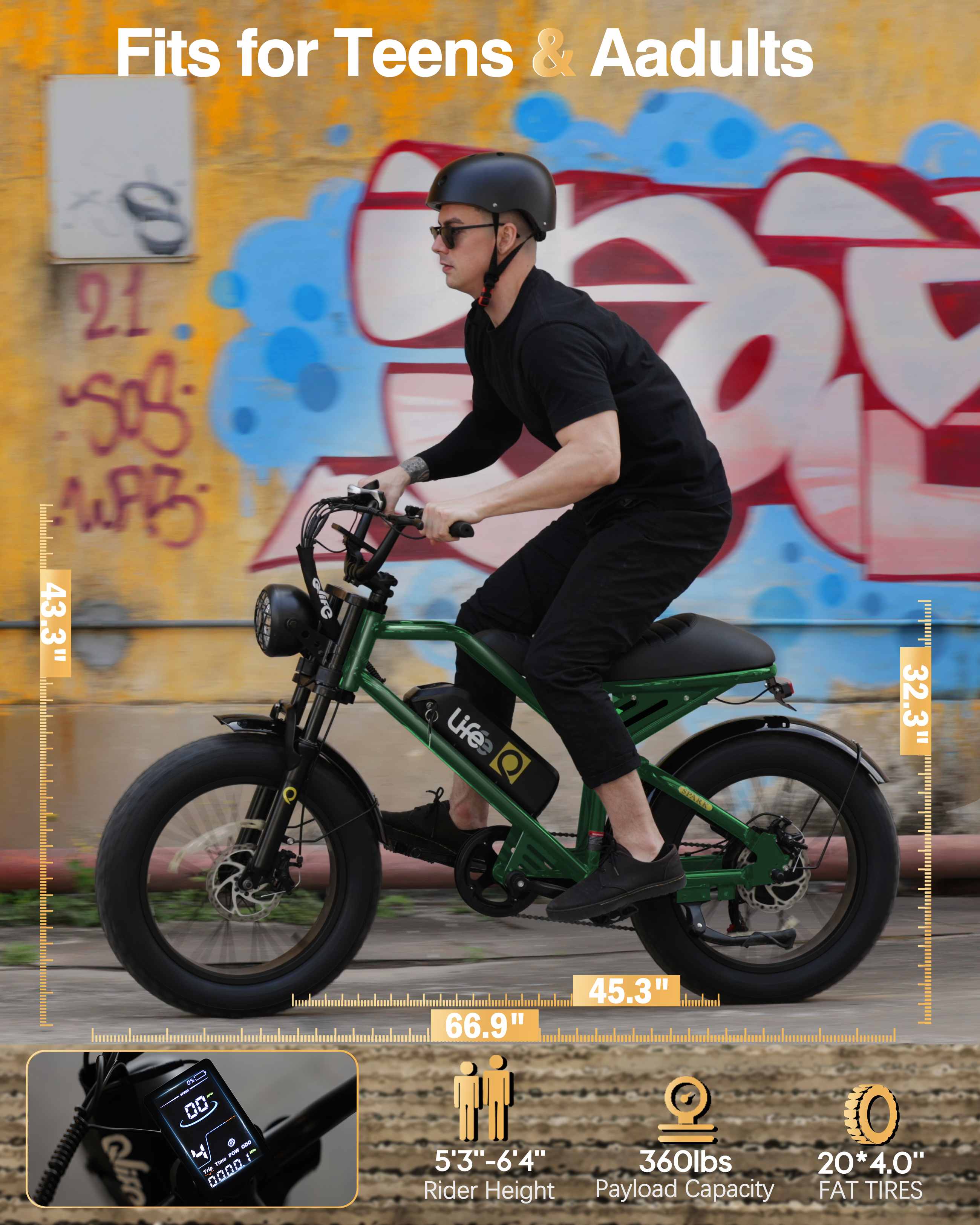 Qlife Spark Fast Full Suspension Electric Fat Tire Dirt Mountain Electric Bike