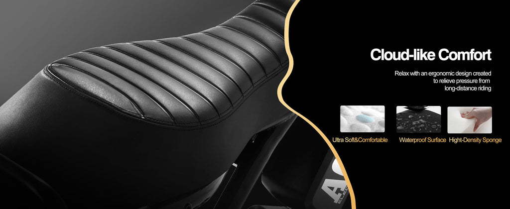 Qlife Spark Fast Full Suspension Electric Fat Tire Dirt Mountain Electric Bike 