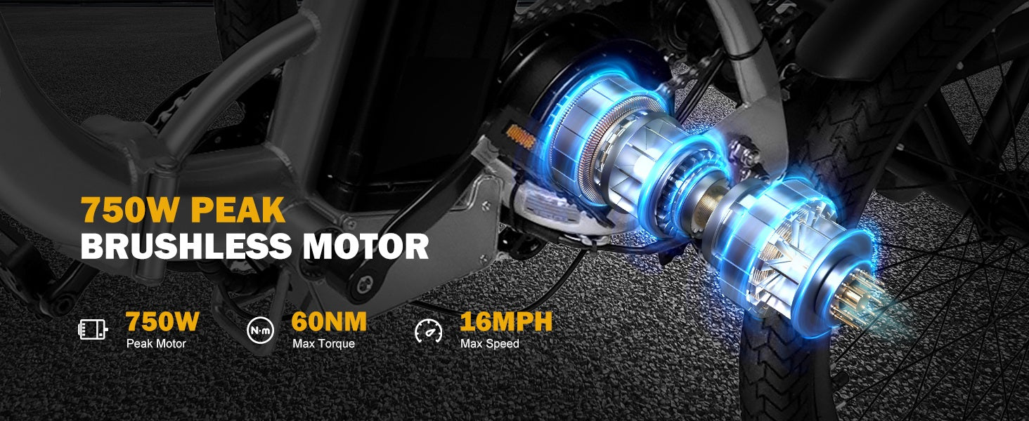 Qlife Triker Folding 3 Wheel Pedal-Assist Electric Cargo Tricycle Bike