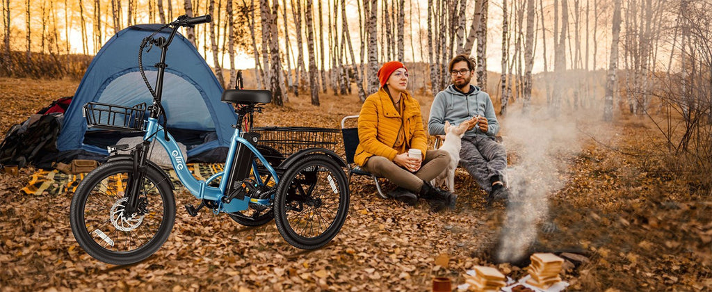 Qlife Triker Folding 3 Wheel Pedal-Assist Electric Cargo Tricycle Bike