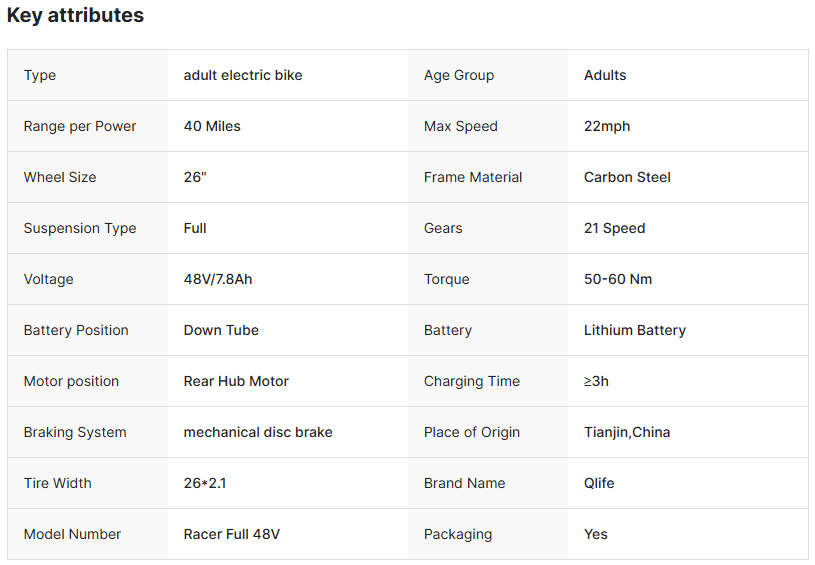 Qlife Racer Electric Bike - E - Lite Ride