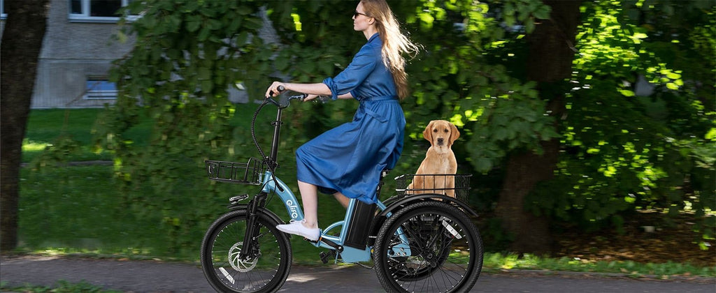 Qlife Triker Folding 3 Wheel Pedal - Assist Electric Cargo Tricycle Bike - E - Lite Ride