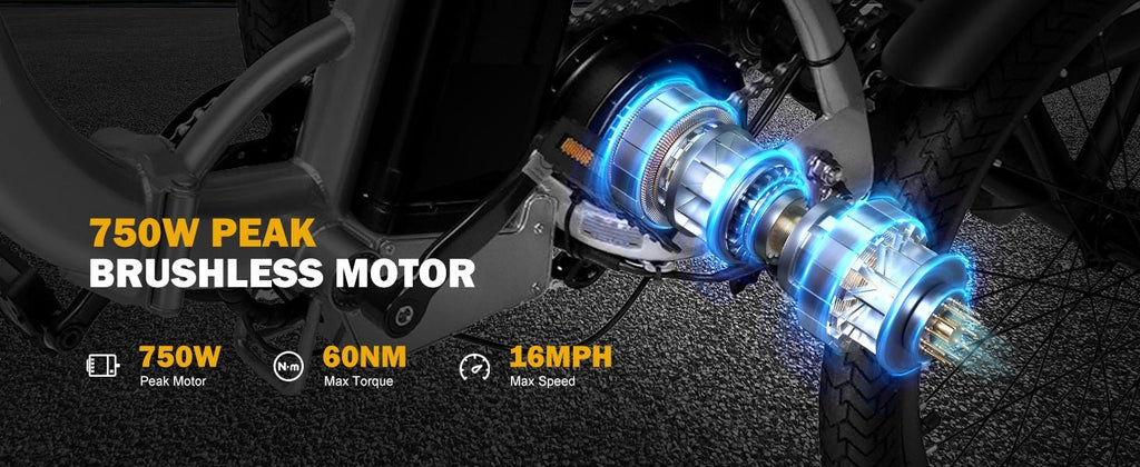 Qlife Triker Folding 3 Wheel Pedal - Assist Electric Cargo Tricycle Bike - E - Lite Ride